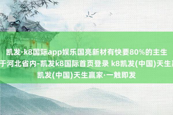 凯发·k8国际app娱乐国亮新材有快要80%的主生意务收入来自于河北省内-凯发k8国际首页登录 k8凯发(中国)天生赢家·一触即发