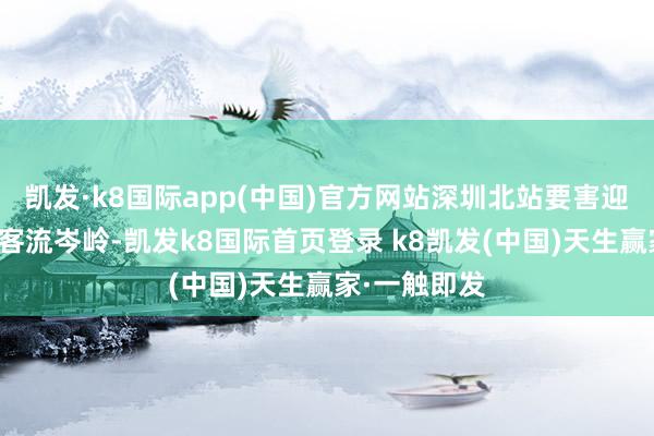 凯发·k8国际app(中国)官方网站深圳北站要害迎来单日期史客流岑岭-凯发k8国际首页登录 k8凯发(中国)天生赢家·一触即发