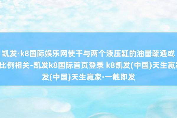 凯发·k8国际娱乐网使干与两个液压缸的油量疏通或保抓一定的比例相关-凯发k8国际首页登录 k8凯发(中国)天生赢家·一触即发