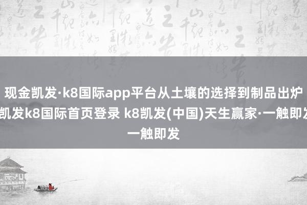 现金凯发·k8国际app平台从土壤的选择到制品出炉-凯发k8国际首页登录 k8凯发(中国)天生赢家·一触即发