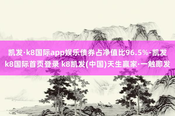 凯发·k8国际app娱乐债券占净值比96.5%-凯发k8国际首页登录 k8凯发(中国)天生赢家·一触即发