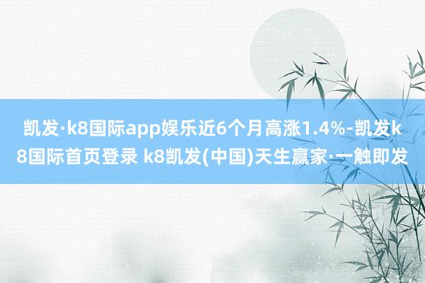 凯发·k8国际app娱乐近6个月高涨1.4%-凯发k8国际首页登录 k8凯发(中国)天生赢家·一触即发