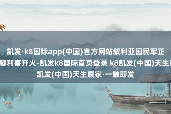 凯发·k8国际app(中国)官方网站叙利亚国民军正对着库尔德阵脚利害开火-凯发k8国际首页登录 k8凯发(中国)天生赢家·一触即发