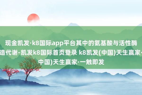 现金凯发·k8国际app平台其中的氨基酸与活性酶能帮着改造代谢-凯发k8国际首页登录 k8凯发(中国)天生赢家·一触即发