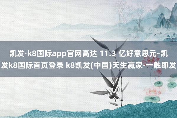 凯发·k8国际app官网高达 11.3 亿好意思元-凯发k8国际首页登录 k8凯发(中国)天生赢家·一触即发