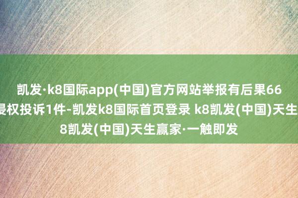 凯发·k8国际app(中国)官方网站举报有后果66%；其中涉企侵权投诉1件-凯发k8国际首页登录 k8凯发(中国)天生赢家·一触即发